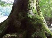 Giornata europea memoria Giusti