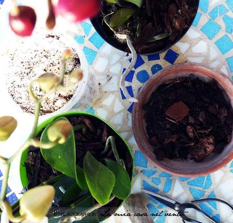 {Primo Giorno di Sole}