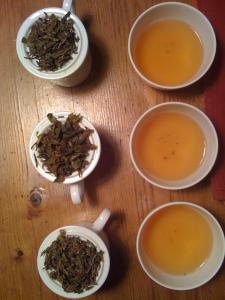 Tea Taster