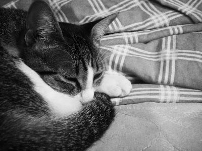 Ho ricevuto un premio .///.