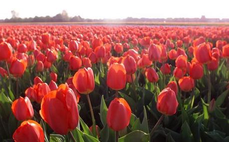 Ho ricevuto un premio .///.