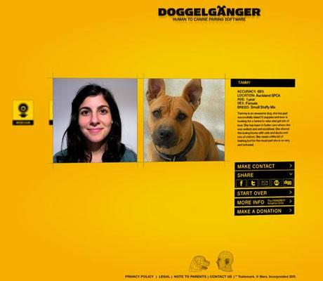 doggelganger_a_quale_cane_assomigli