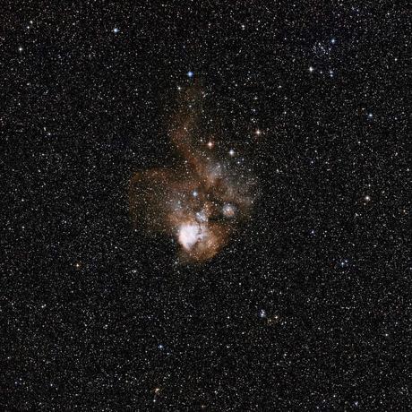 NGC 2467, un mandrillo tra le stelle