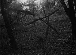 The Blair Witch Project (di D. Myrick e E. Sanchez, 1999)