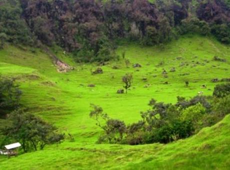 strada-per-san-agustin-colombia-sud