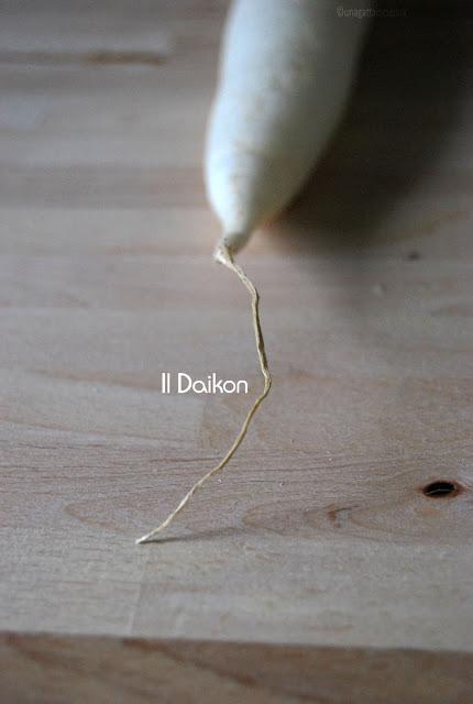 Il Daikon