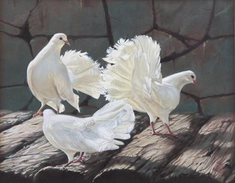 Immagini di speranza