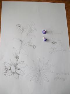Pulmonaria officinalis - fiori