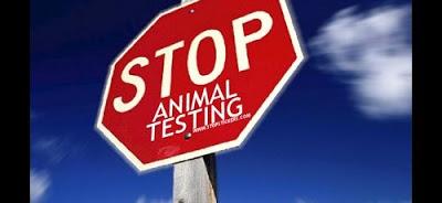 Stop ai Test sugli Animali