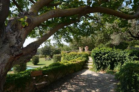 Una meravigliosa villa vicino ad Avignone