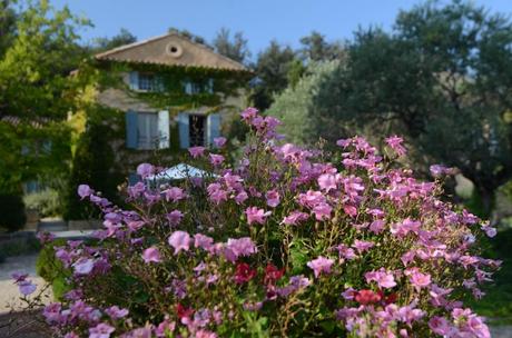 Una meravigliosa villa vicino ad Avignone