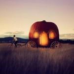 joel-robison (5)