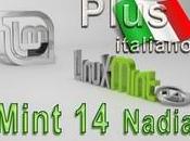 Mint14 Plus italiano Cinnamon Mate