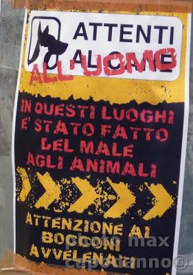 BASTA avvelenare i nostri amici a quattro zampe…