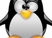 Linux: possibile standard futuro?