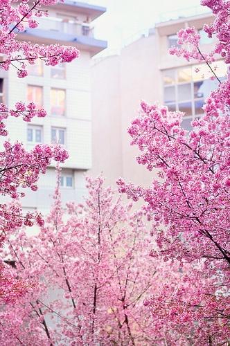 Perchè adoro la primavera