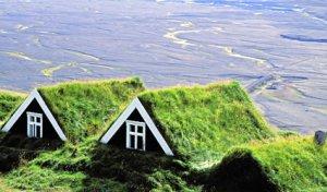 green roof