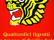 Recensione racconti Cuore Tigre