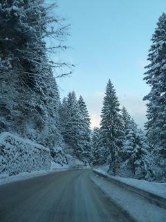 A spasso sulle Dolomiti...