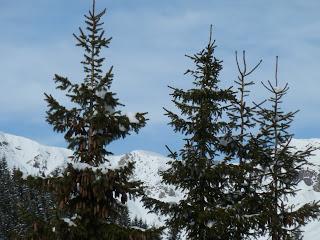 A spasso sulle Dolomiti...