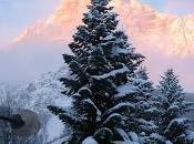 spasso sulle Dolomiti
