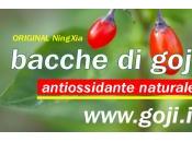 Goji, bacche salutari ricche antiossidanti vitamine