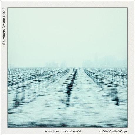 11_03_13_spine_dolci_e_riso_amaro_pg