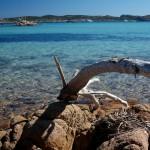 La Gallura  (settembre 2010)