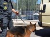 Armi droga sequestrati Catania Arrestati corrieri albanesi