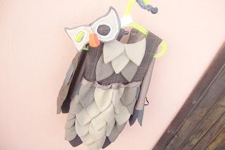 Il vestito da gufo - Owl costume