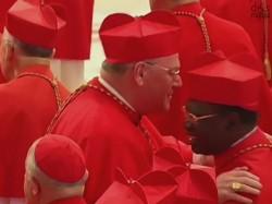 cardinali per il conclave nuovo papa