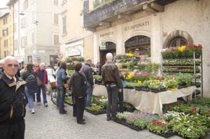 20120324_brixia_florum_20