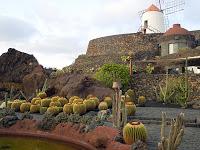 ancora Lanzarote, ancora César Manrique