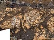 Mars Exploration Rover Opportunity febbraio update: ultime analisi Matijevic Hill quasi tempo ripartire