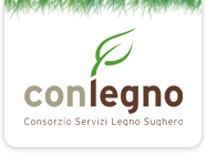 UN SITO DA VISITARE: CONLEGNO