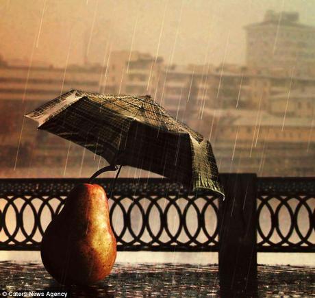 Washed: A pear is pictured in the driving rain trying to shelter under a small umbrella 