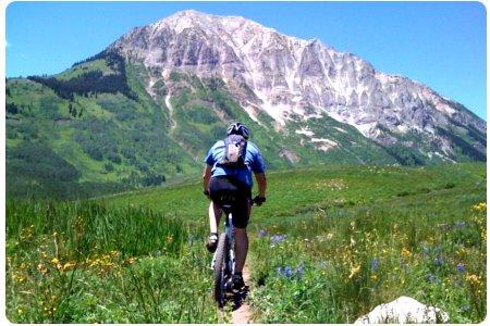 Come organizzare una scampagnata nel verde in mountain bike