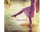 colore trasparente della notte