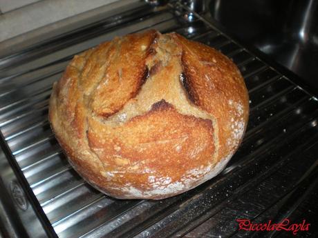 pane senza impasto semintegrale (3)