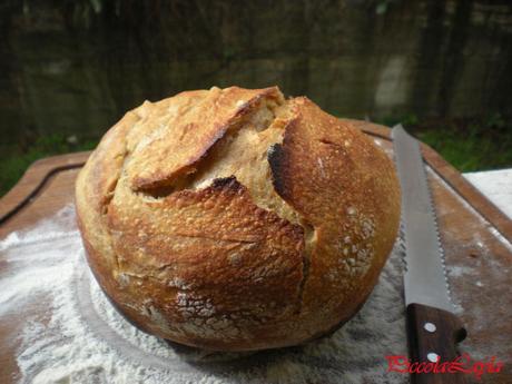 pane senza impasto semintegrale (10)