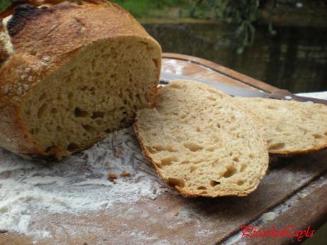 pane senza impasto semintegrale (13)