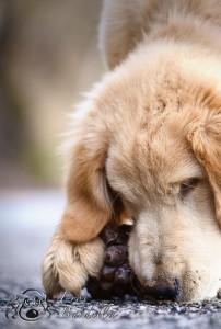 01_articolo 3_03 febbraio 2013