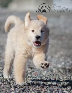 01_articolo 2_09 dicembre 2012