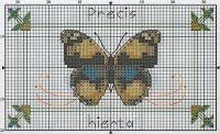 Schema punto croce: Farfalle colorate