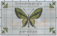 Schema punto croce: Farfalle colorate