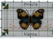 Schema punto croce: Farfalle colorate