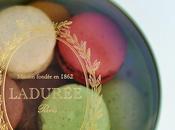 Macaron, suis