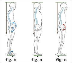 La Valutazione della Postura sul  Piano Sagittale