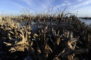 Città abbandonate: Villa Epecuen per 25 anni sotto le acque del lago salato