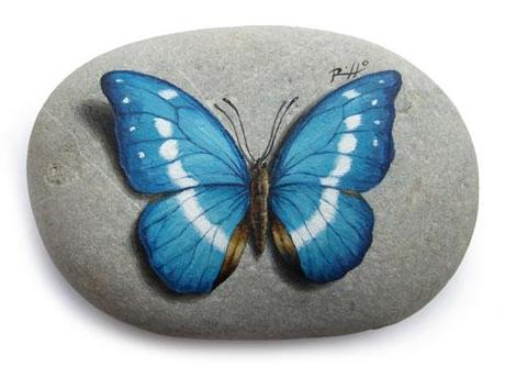 farfalla-azzurra